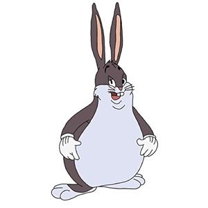 Meet your Posher, Collin